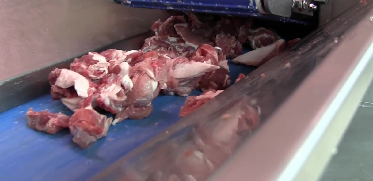 肉类输送带